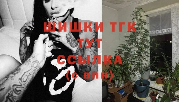 ГАЛЛЮЦИНОГЕННЫЕ ГРИБЫ Алексин