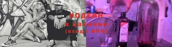 ГАЛЛЮЦИНОГЕННЫЕ ГРИБЫ Алексин