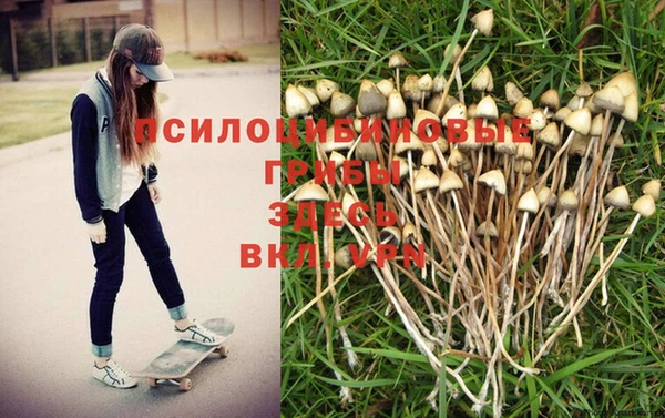 ГАЛЛЮЦИНОГЕННЫЕ ГРИБЫ Алексин