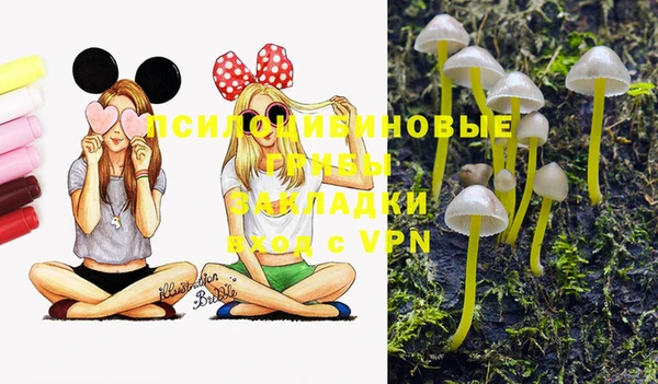 COCAINE Алексеевка