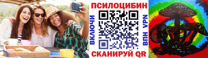 цена   Лахденпохья  Галлюциногенные грибы Psilocybe 