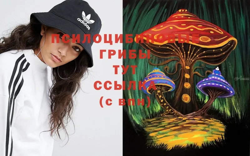 купить наркоту  Лахденпохья  hydra как зайти  Псилоцибиновые грибы Psilocybe 